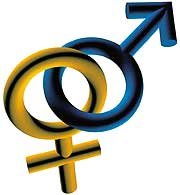 masculino-e-feminino